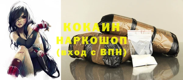 индика Сафоново