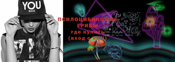 гидра Сатка