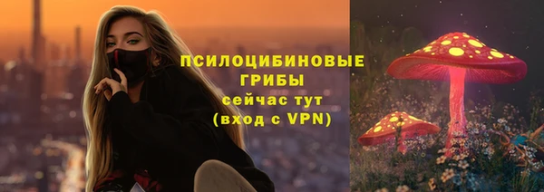 экстази Рославль