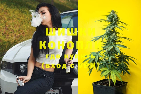 стафф Россошь