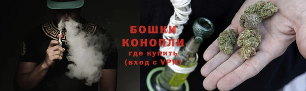 индика Сафоново