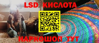 дмт Бийск