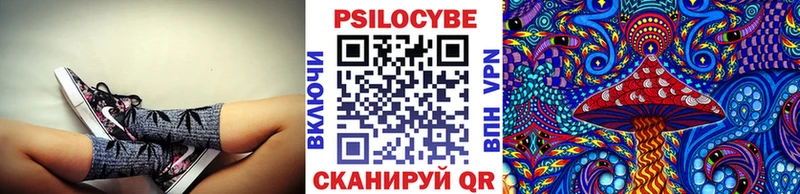 Псилоцибиновые грибы Cubensis  Железноводск 