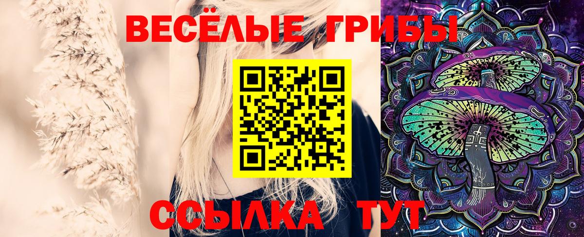 Галлюциногенные грибы Psilocybine cubensis Железноводск