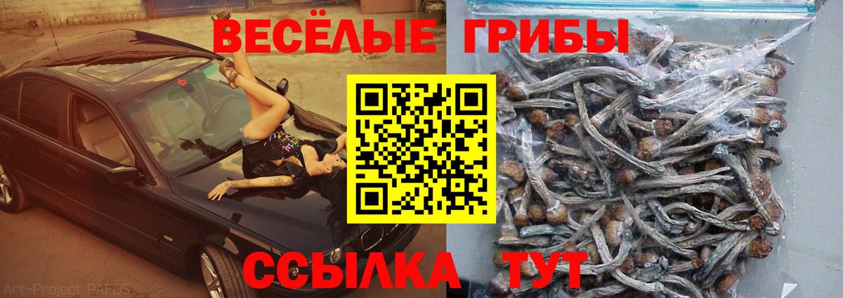 Псилоцибиновые грибы Magic Shrooms  Галлюциногенные грибы прущие грибы  Железноводск 