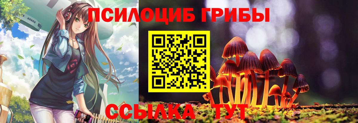 Галлюциногенные грибы Cubensis Железноводск