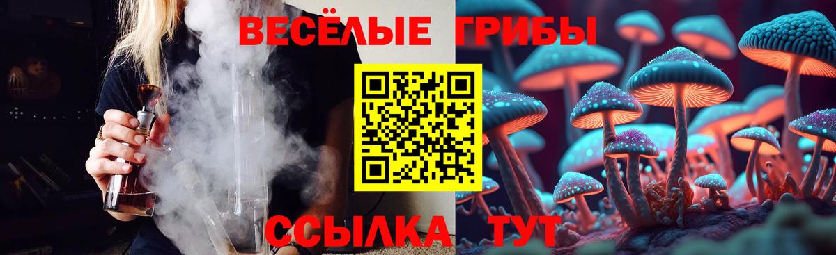 Железноводск  Псилоцибиновые грибы Psilocybe  Вход с VPN  Псилоцибиновые грибы прущие грибы 