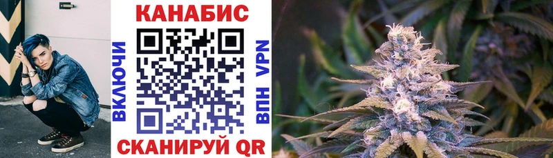 где найти Железноводск МАРИХУАНА сатива